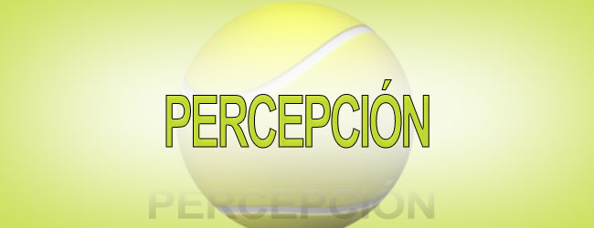 PERCEPCIÓN